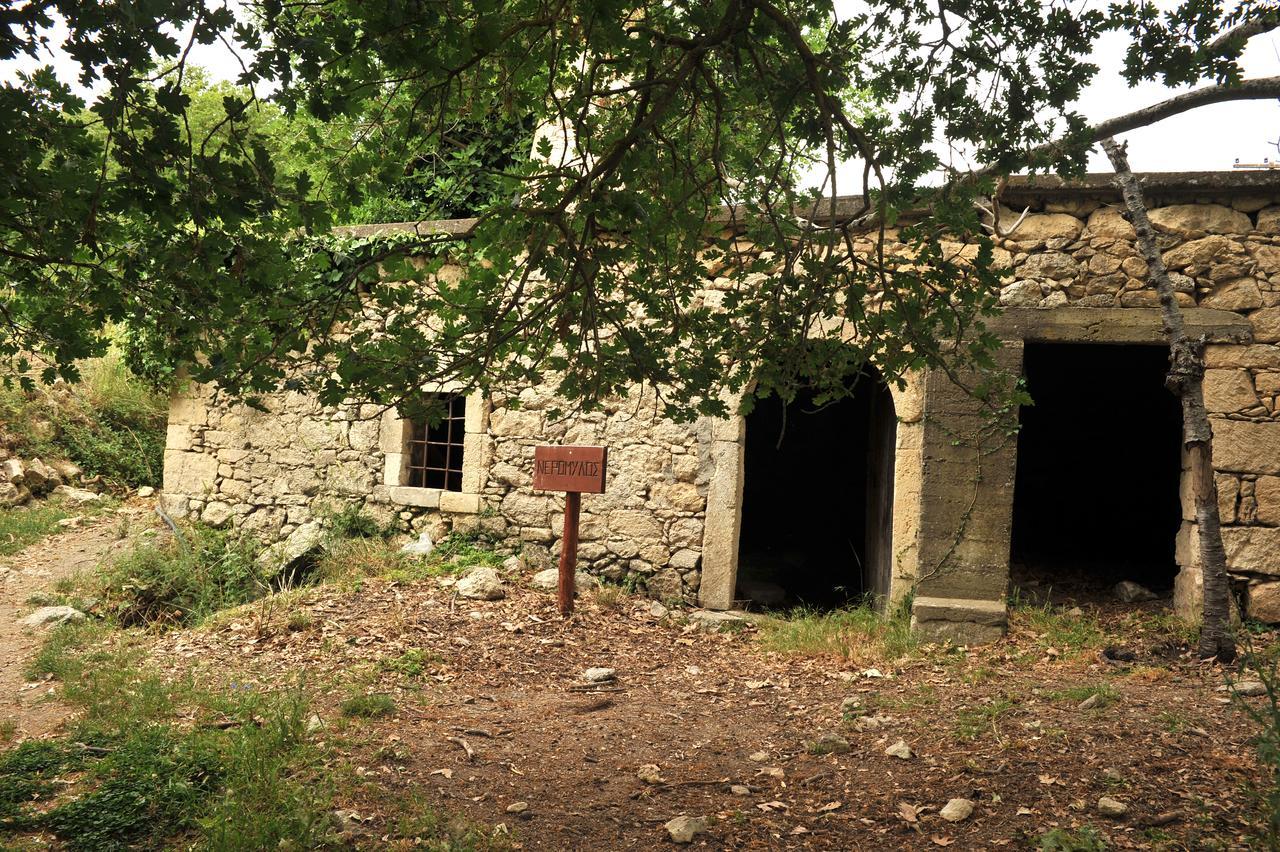 Villa Axenti Agios Thomas  Esterno foto