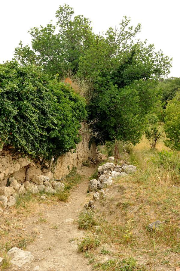 Villa Axenti Agios Thomas  Esterno foto