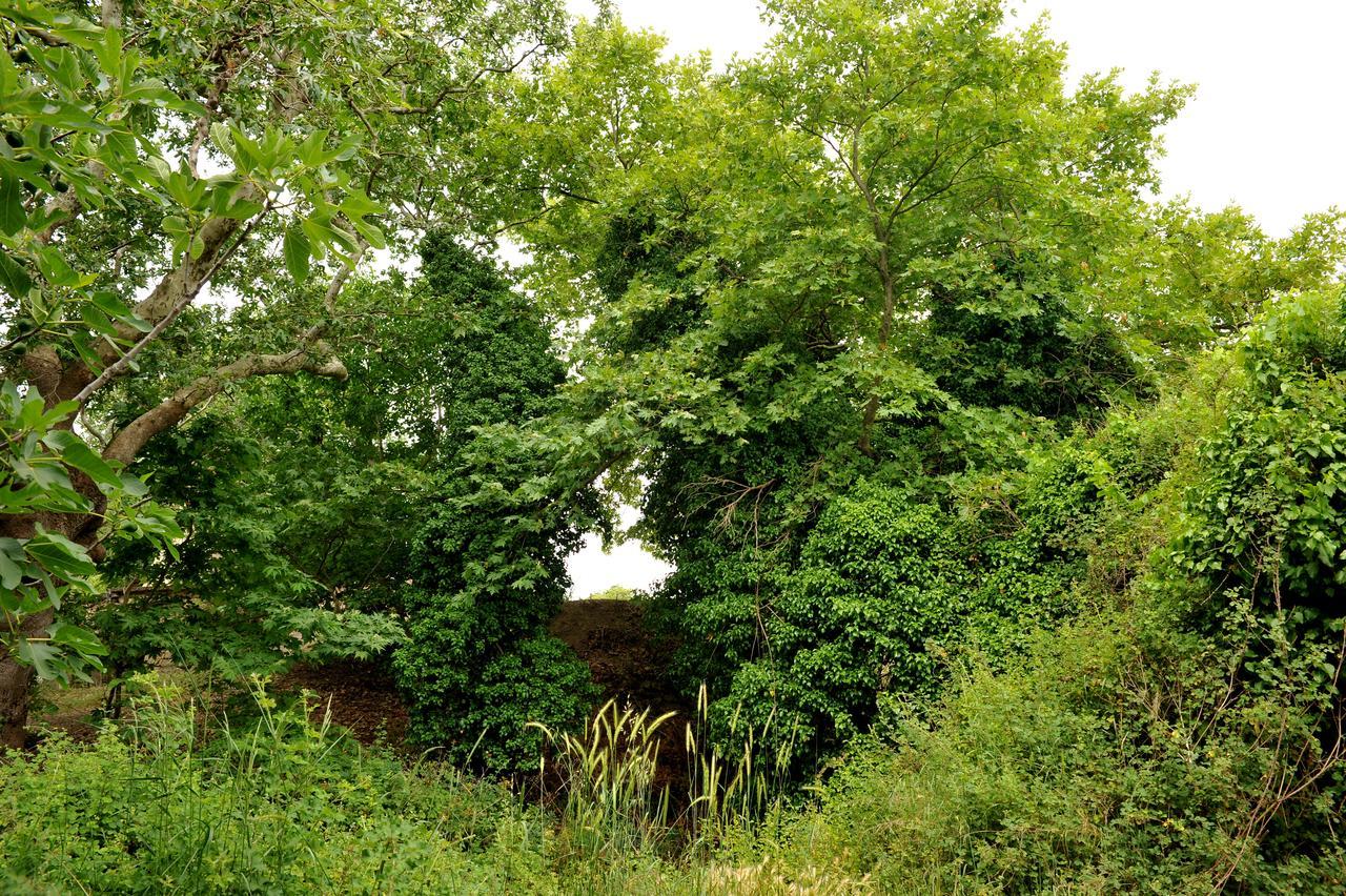 Villa Axenti Agios Thomas  Esterno foto